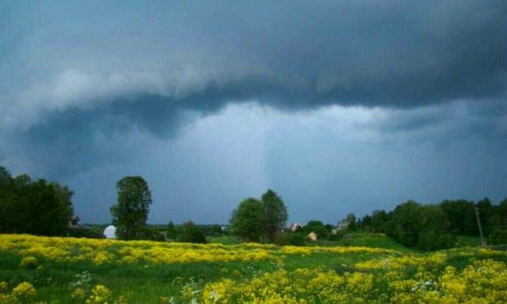 Описание перед грозой. Пасмурный пейзаж. Тучи перед дождем. Лес перед грозой. Деревня перед грозой.