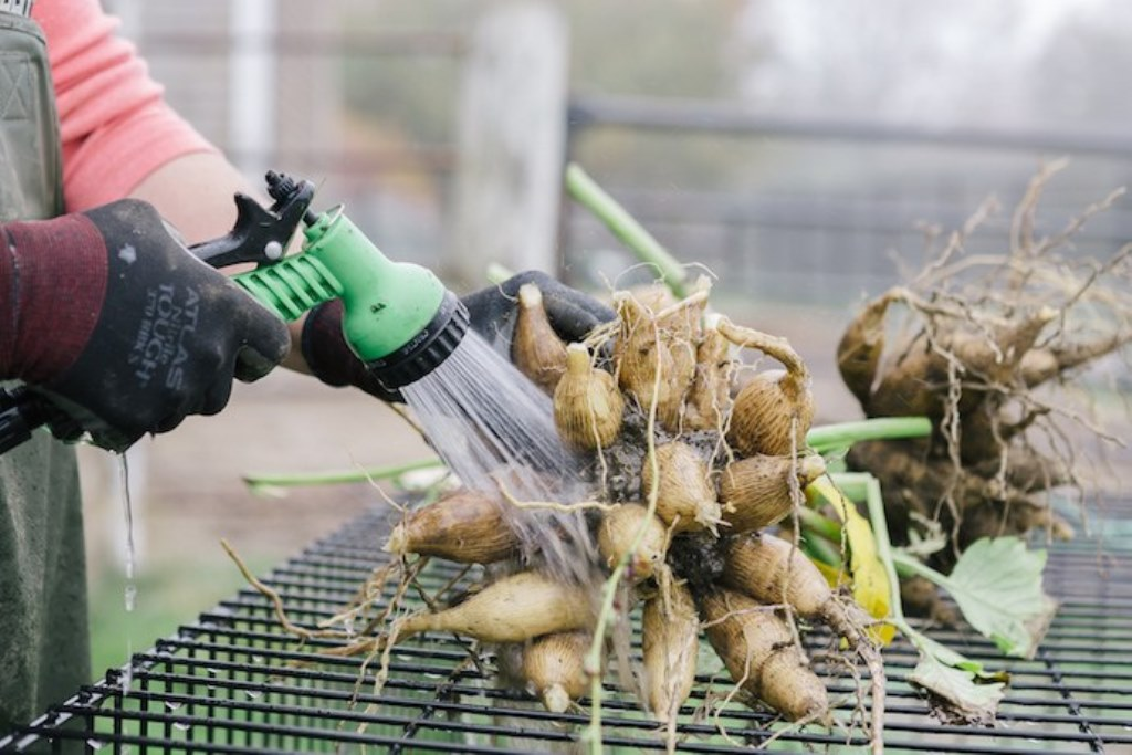 Отмываем от земли