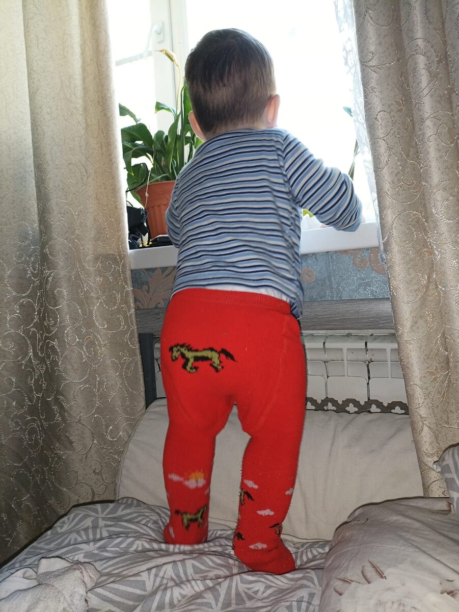 Каждое утро малыша Димы начинается с осматривания подоконника