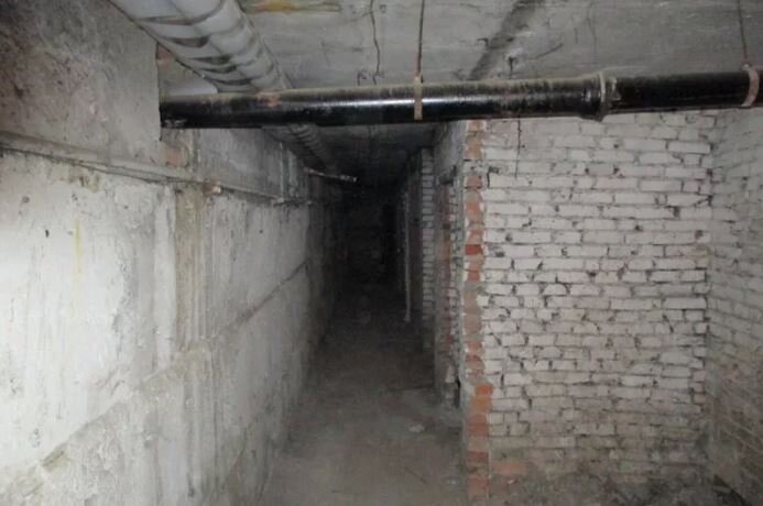 Иллюстрация из открытых источников