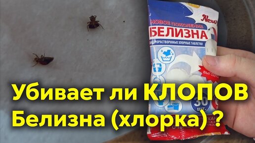 Помогает ли БЕЛИЗНА ОТ КЛОПОВ?