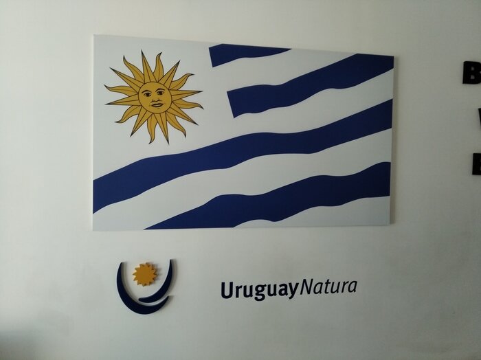 Уругвай - страна практически неизвестная в России. Этакий внебрачный сын Уганды и Парагвая, который то ли в Африке, то ли в Средиземье, то ли еще где-то.