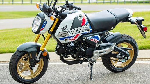 Honda MSX125 Grom - Продано уже 750 000 штук !