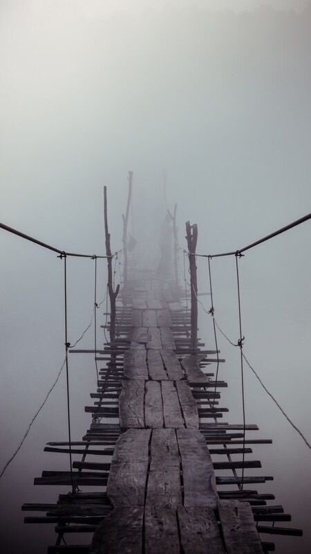Фото с сайта: https://ru.pinterest.com/pin/68740280933/