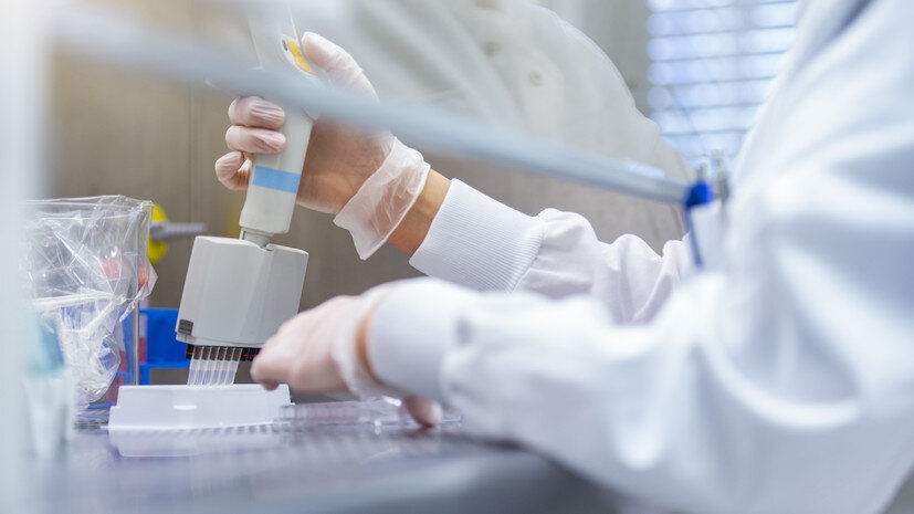   Gettyimages.ru Westend61