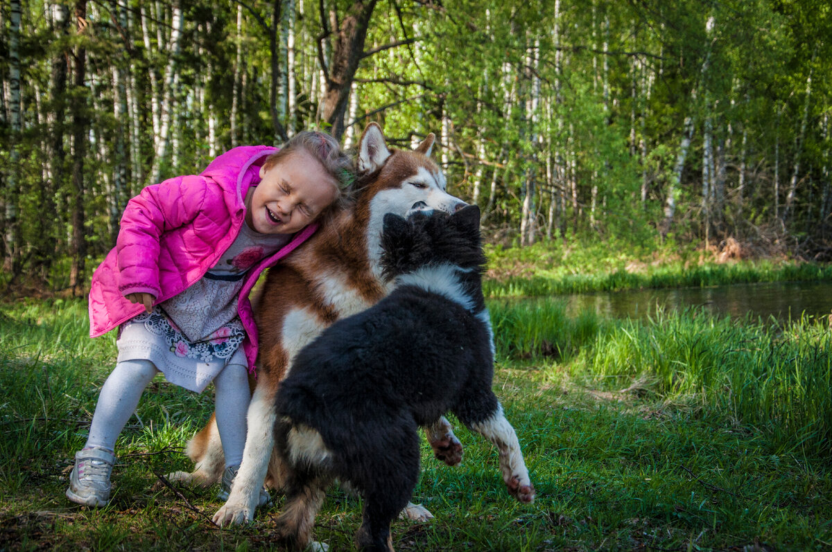 Понятно собака. Катя Пискунова in Dogs we Trust.