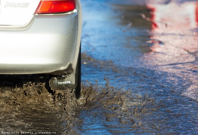    Фото: Дмитрий Кандинский / vtomske.ru