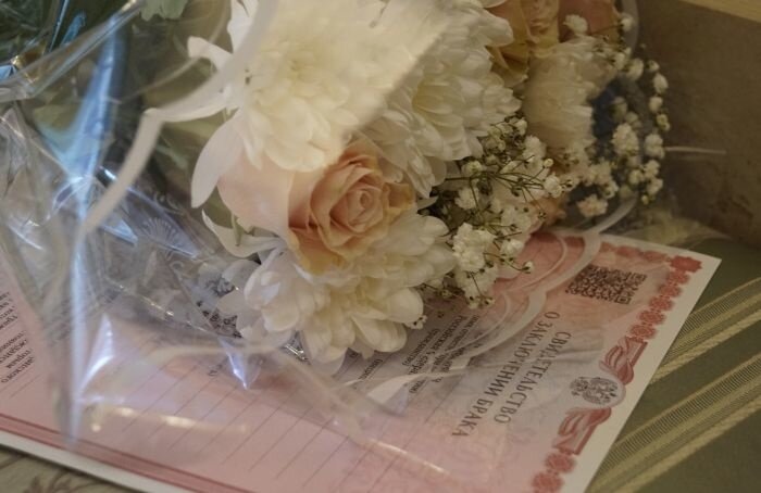    Софья Сенич / MR7