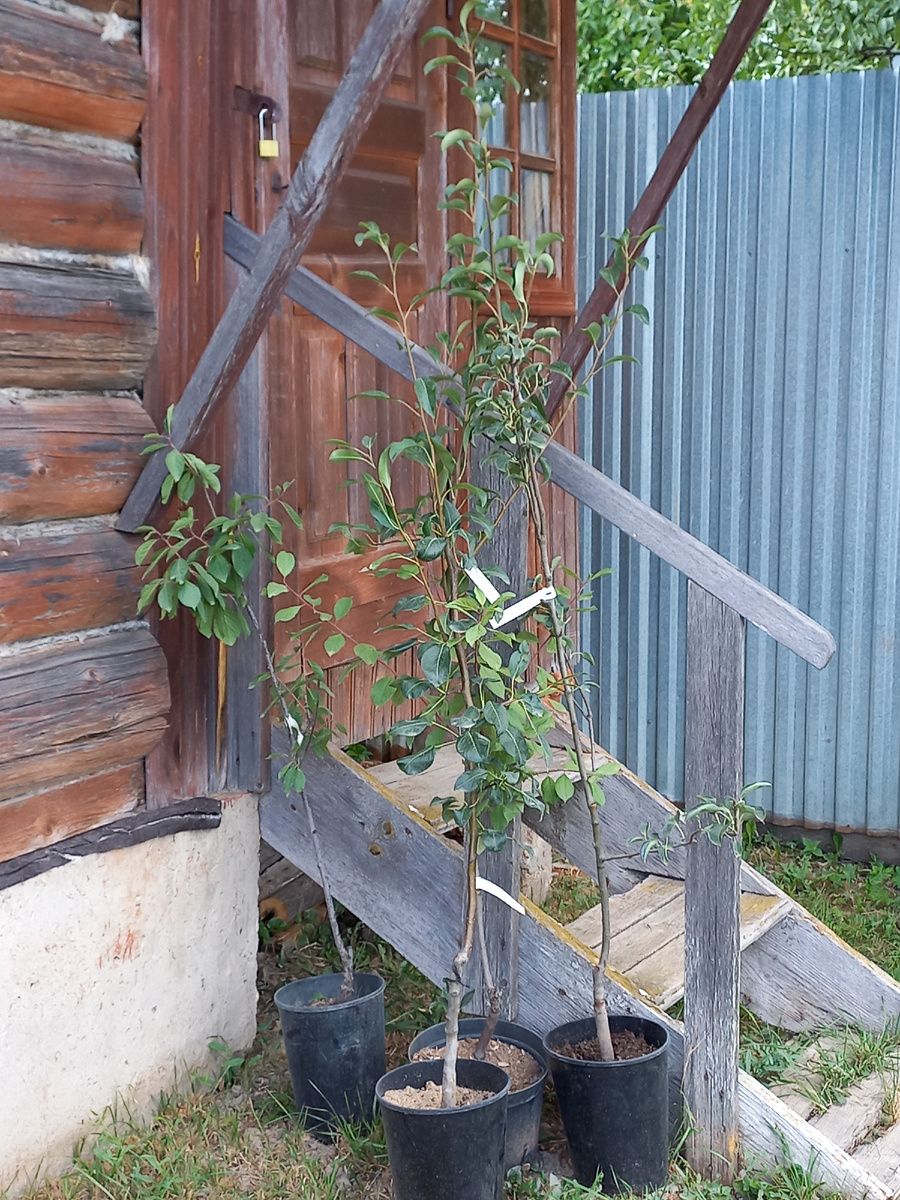 Ждут посадки. Личное фото.