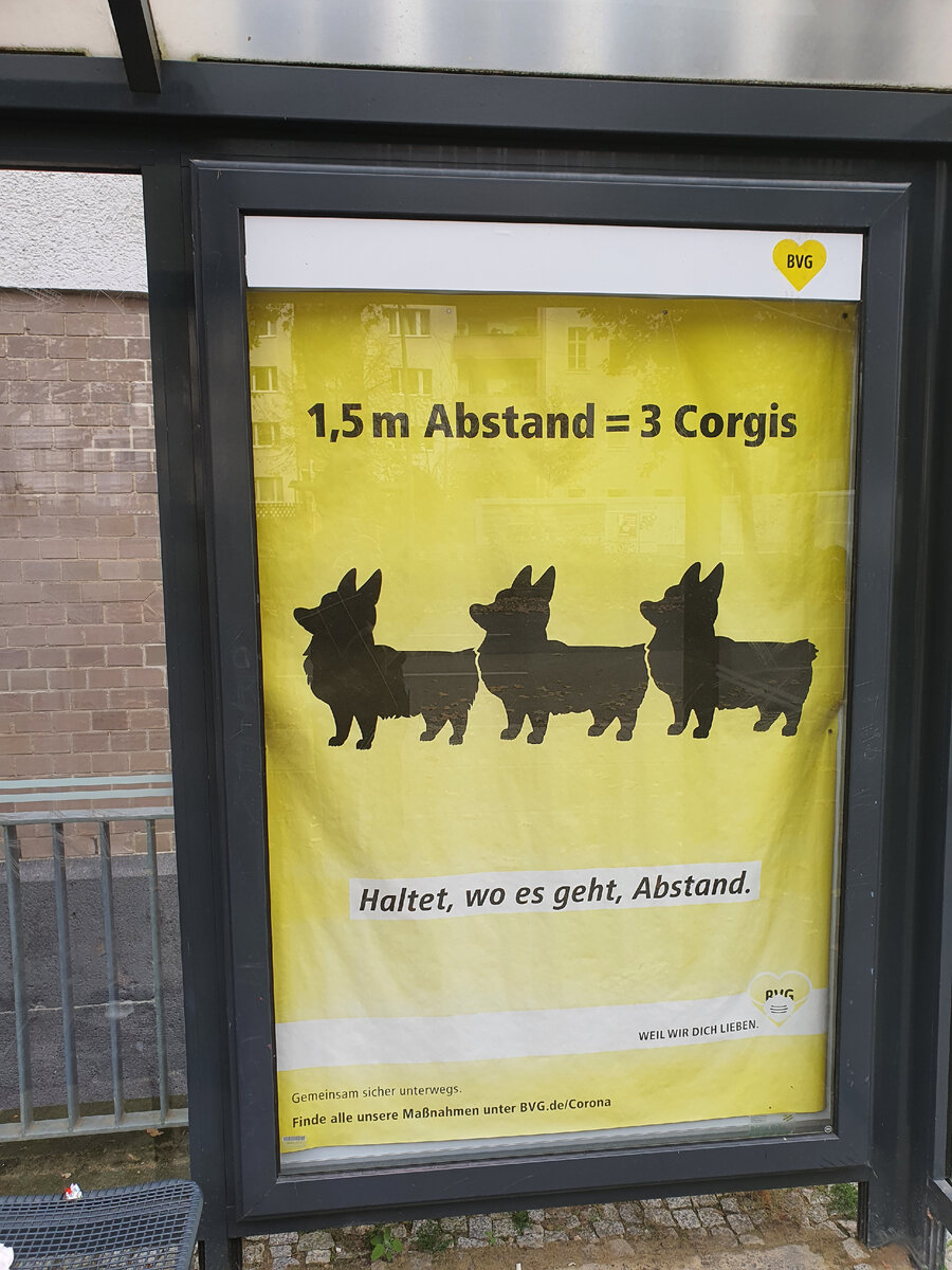 "1.5 метра равно трем корги. Держите дистанцию"