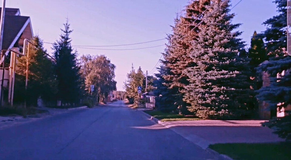     Это место славится своими соснами. Адель ХИСАМОВ