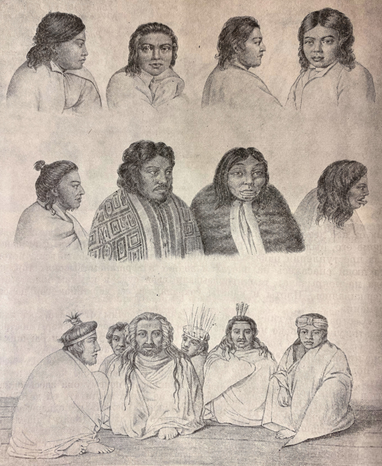 Колоши. Художник А. Постельс. Рис. 1827 г. 