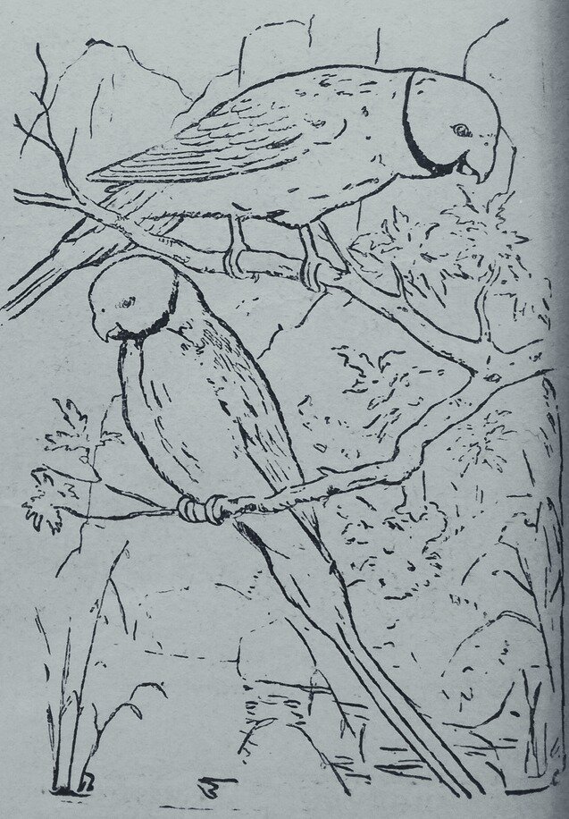 Тип лицензии - общественное достояние