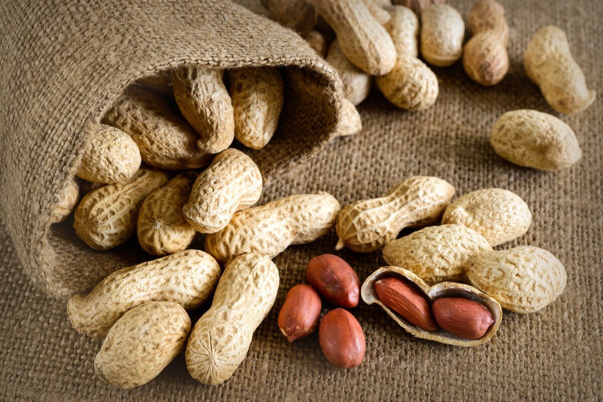 Земляной орех арахис. Арахис Peanuts. Арахис культурный Земляной орех. Арахис неочищенный.