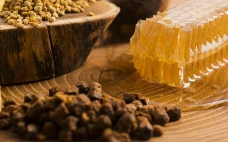 Домашняя настойка прополиса: польза, прием внутрь и рецепты