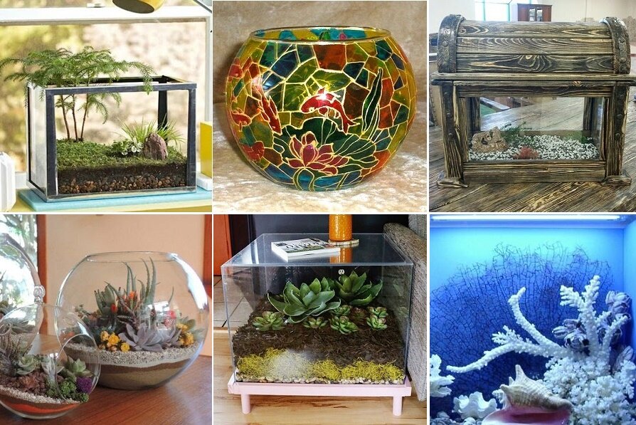 Как украсить аквариум: 40 интересных вариантов | конференц-зал-самара.рф