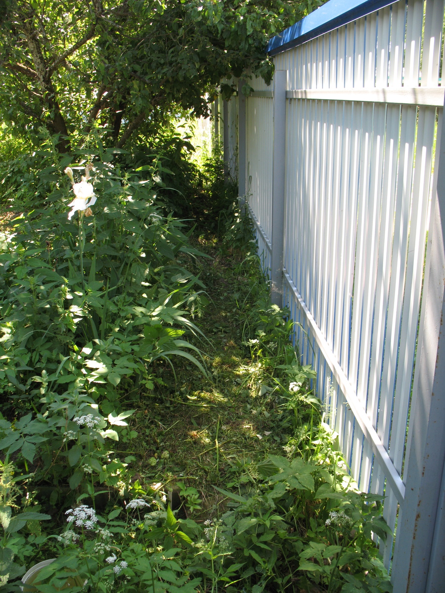 Скашивание вдоль забора