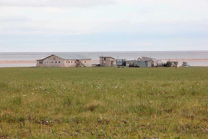 Фото из архива Усть-Ленского заповедника