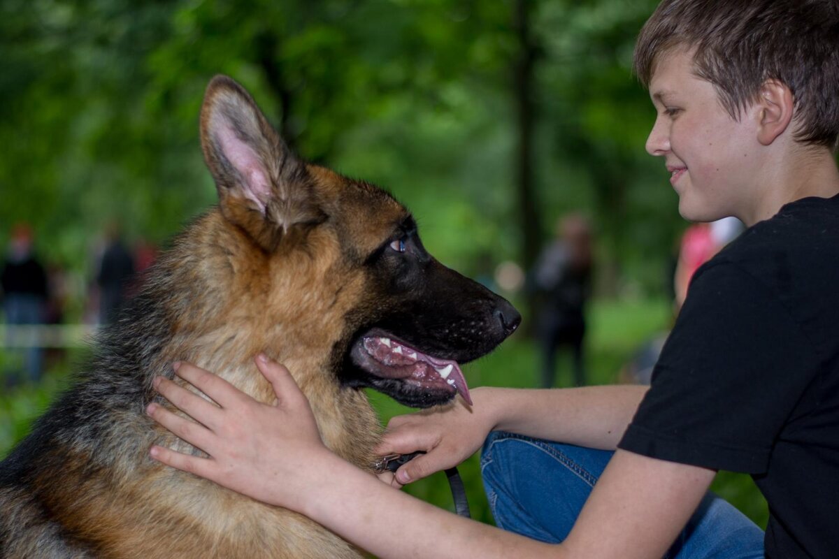 Фотография из свободного доступа сети Интернет