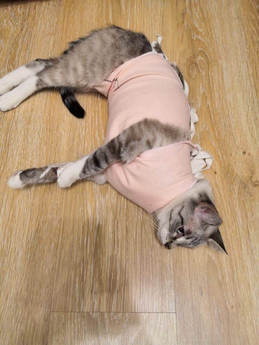 Саманта после операции 