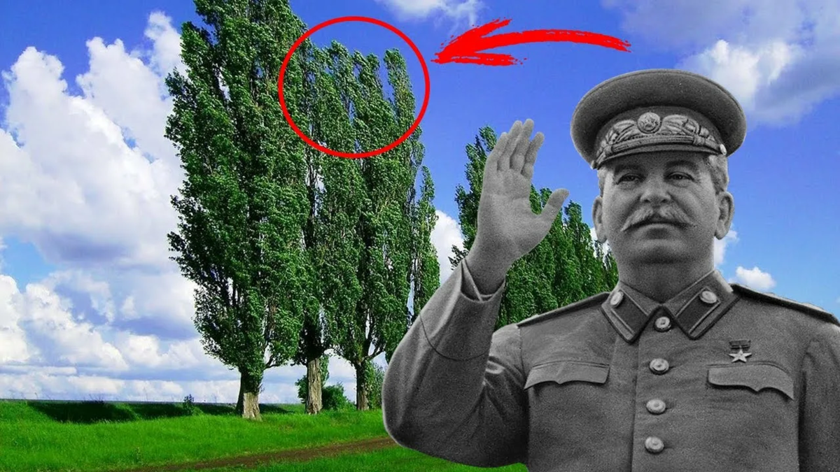 фото взято с яндекс.картинки