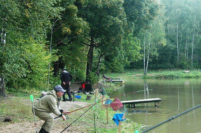 Лосиный остров