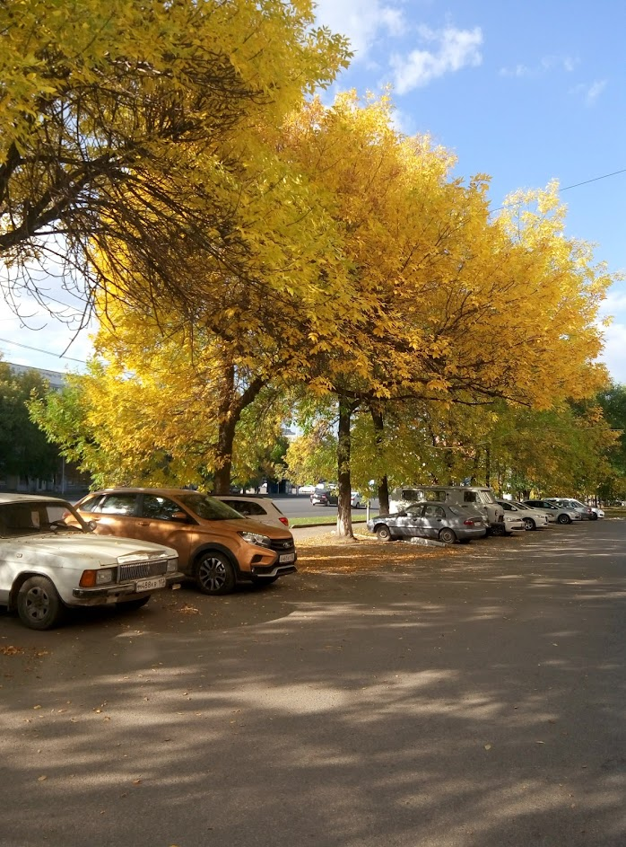 Фото из архива автора. Осень в городе.
