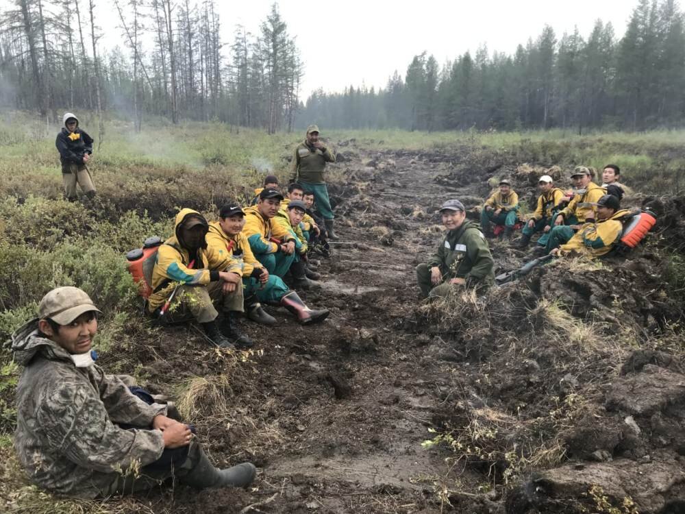 Минерализованная полоса, преграда для распространения низового пожара. Фото из интернета.