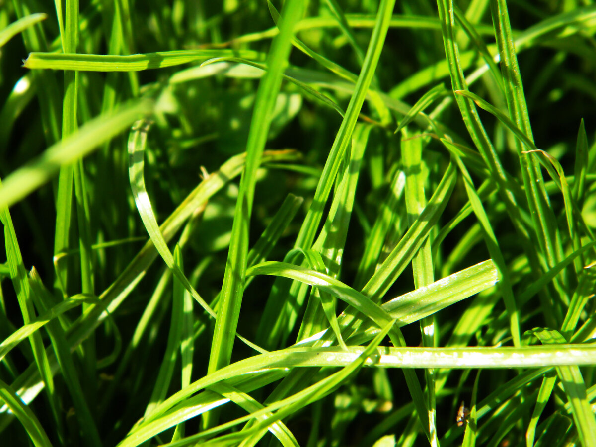 фото автора канала