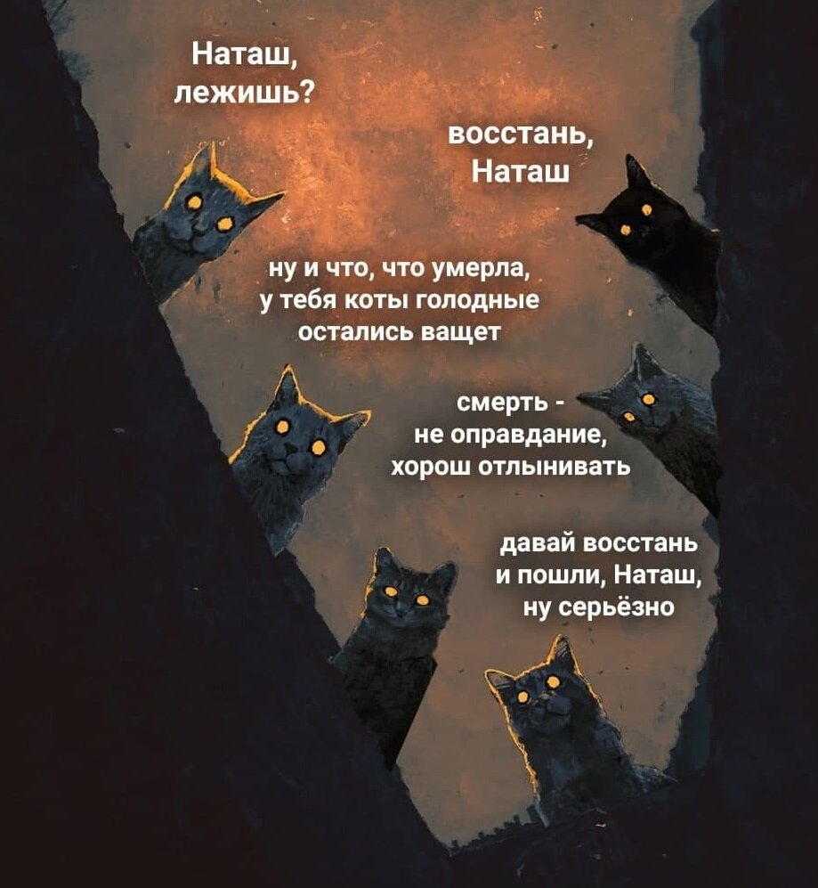 Картинка мем наташа и коты чистая