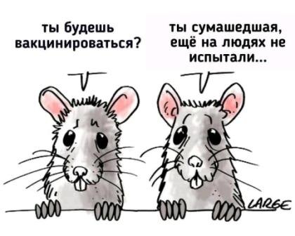 из Яндекс-картинок