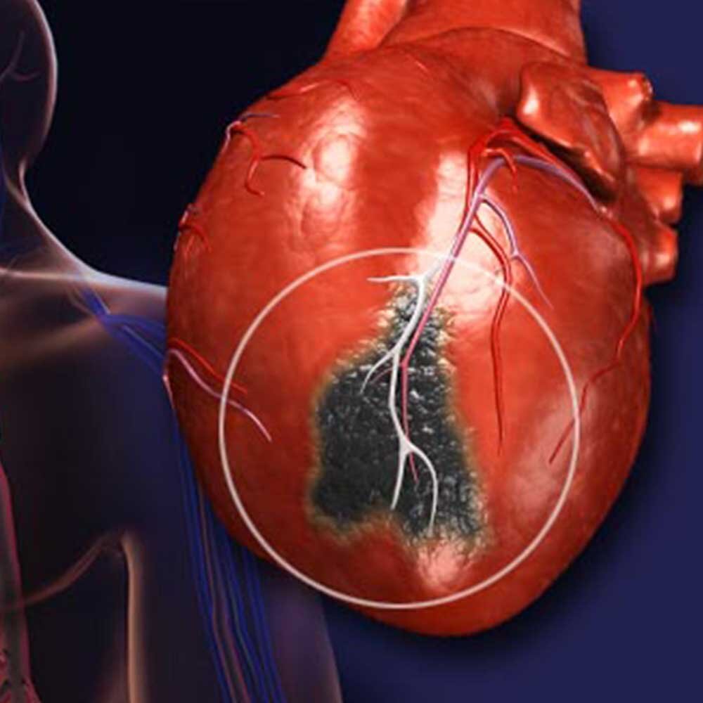 Яндекс. Картинки