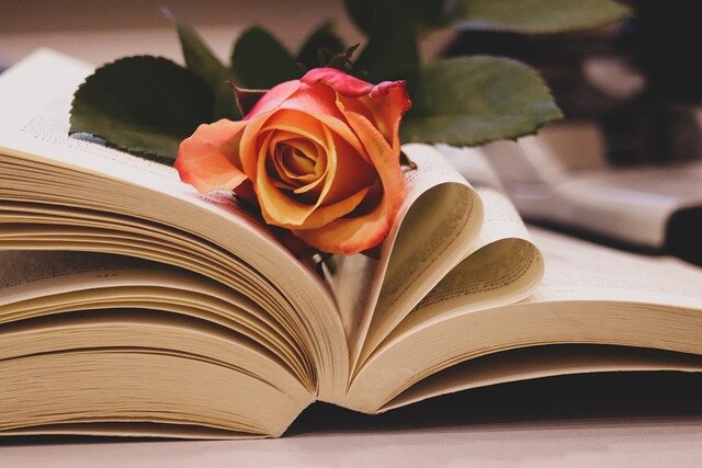 Изображение Valentin Baciu с сайта Pixabay