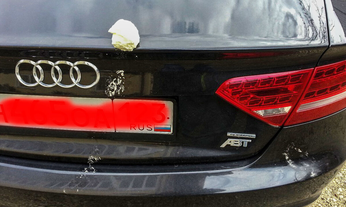 Подписывайтесь и ставьте "палец вверх"! Комментарии приветствуются!