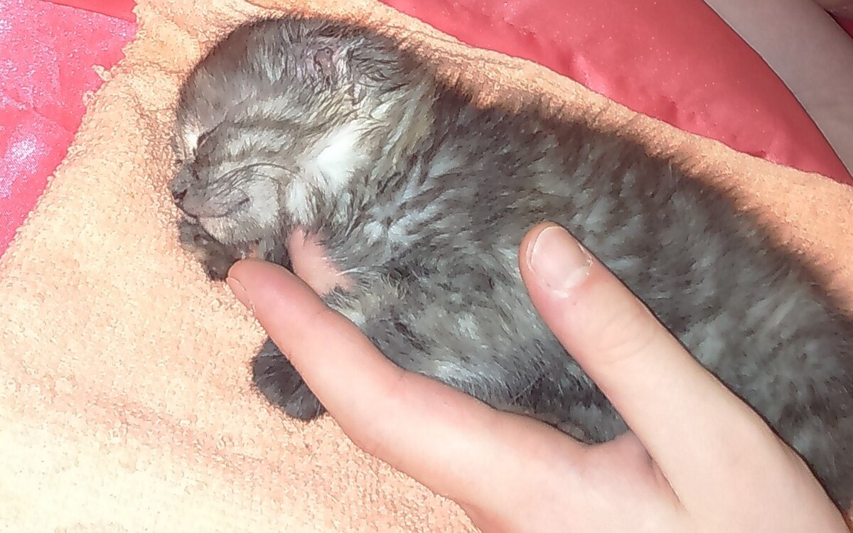 Фото автора