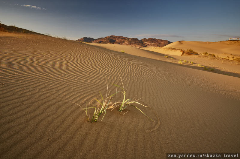 На бархане Сарыкум