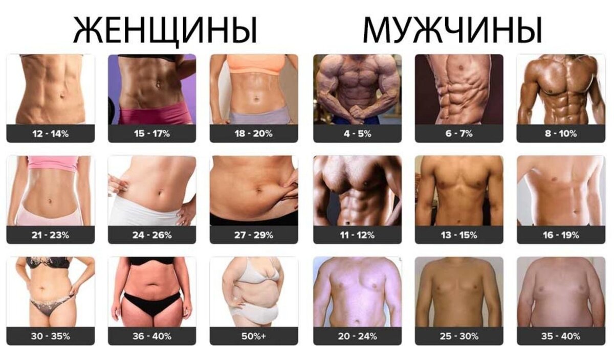 Воспользовавшись поиском, легко нагуливаем картинку, как выглядят животы с разным количеством жира в теле у девочек или у мальчиков.