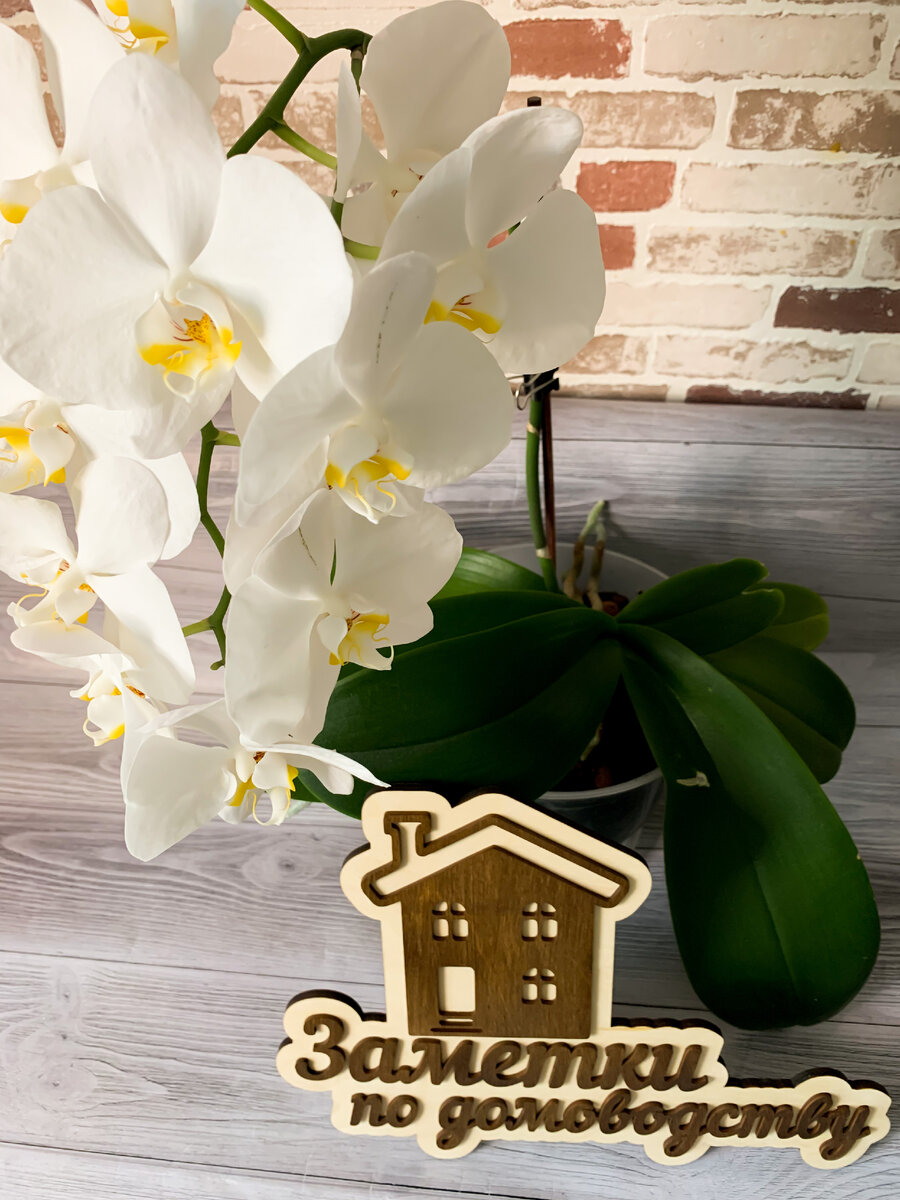 Фотография авторская