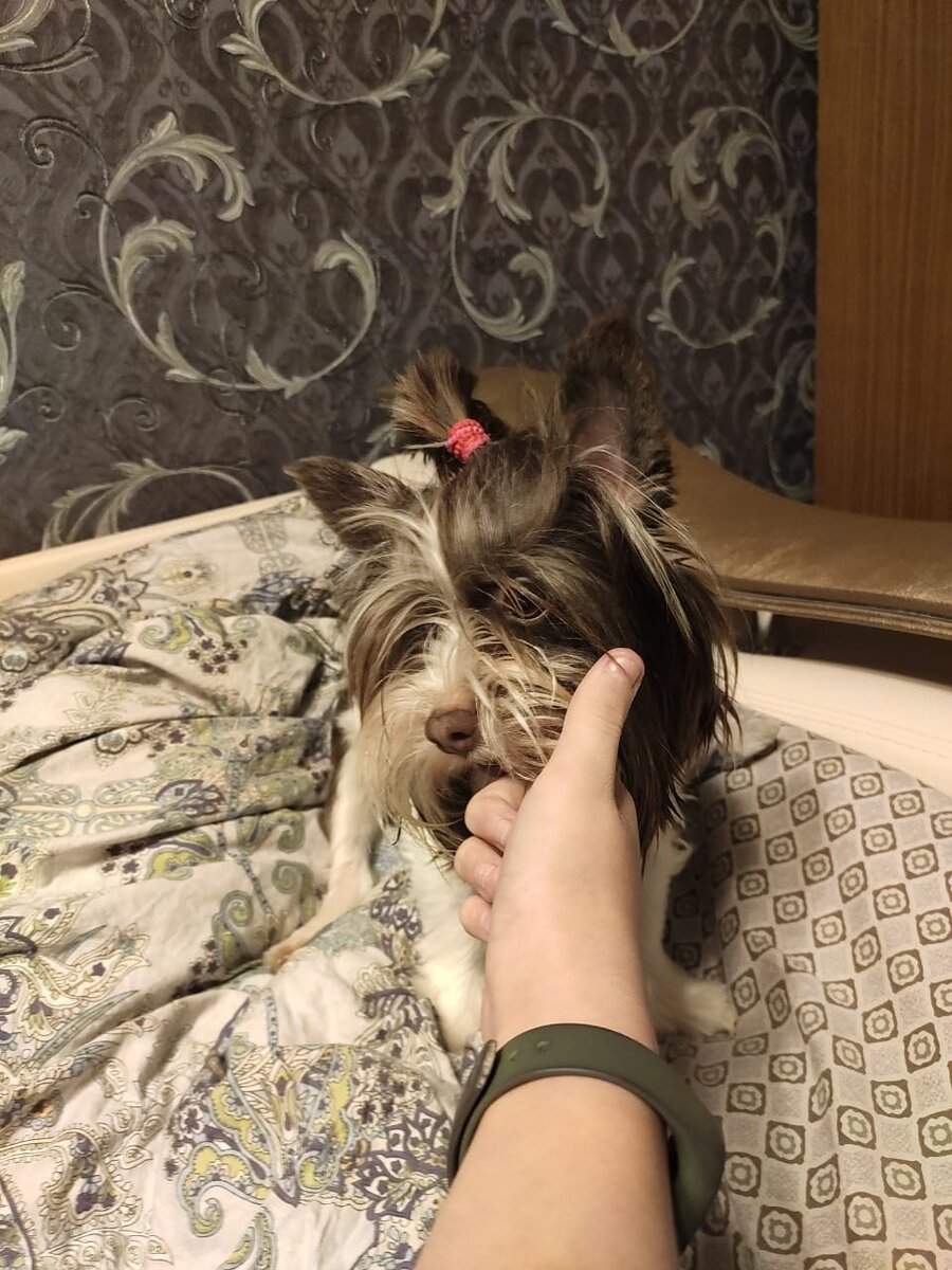 Пытаюсь сожрать кожаного