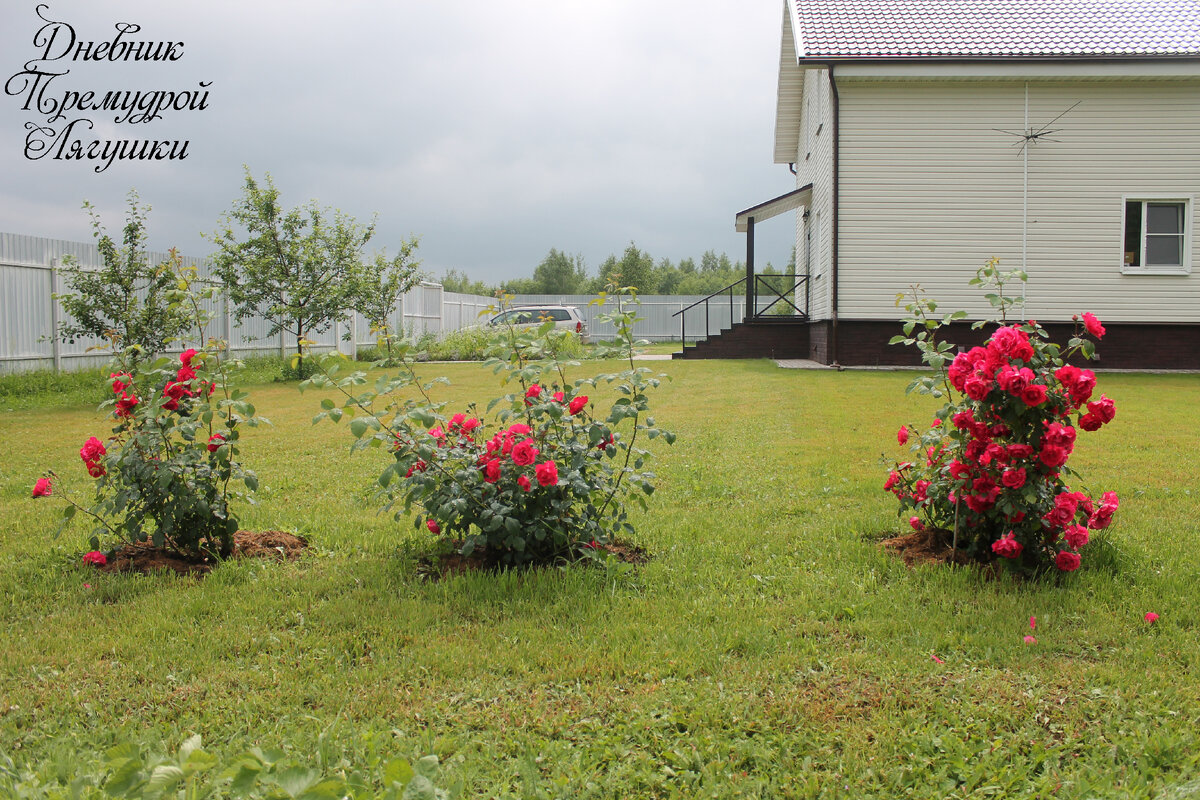 Наш дом. Фото автора