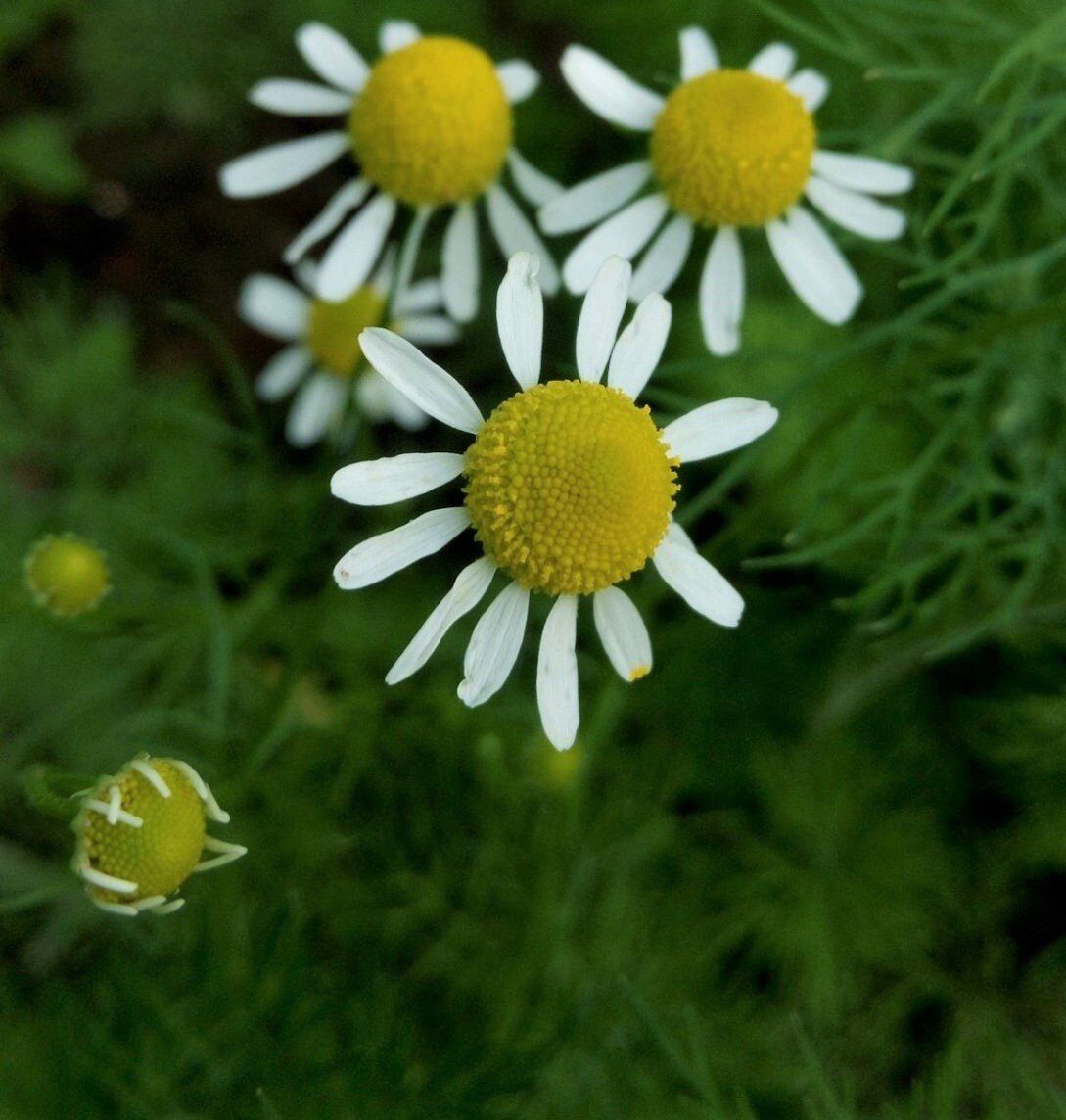 Фото из архива автора канала ***Мама Лора***