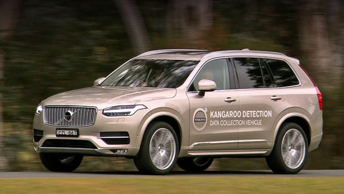 По национальному парку неподалёку от Канберры колесят кроссоверы Volvo XC90 со всевозможной аппаратурой для полуавтономного вождения. Внутри машин сидят разработчики с ноутбуками.