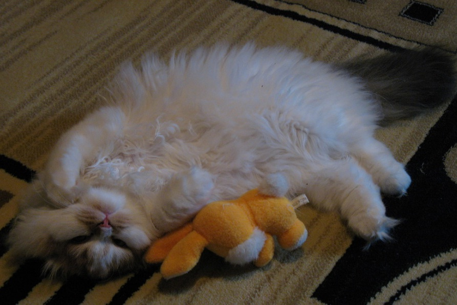 [djcnfnstА вот и Этелька