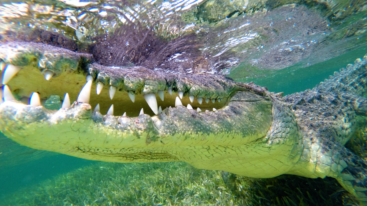 Приятно познакомиться