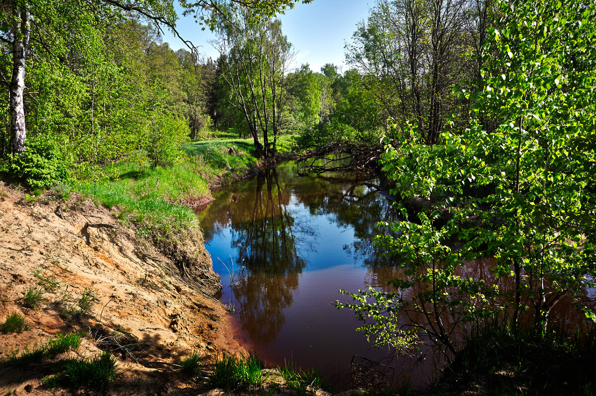 Типичный пример замера экспозиции в "матричном" режиме + выставлен приоритет диафрагмы.