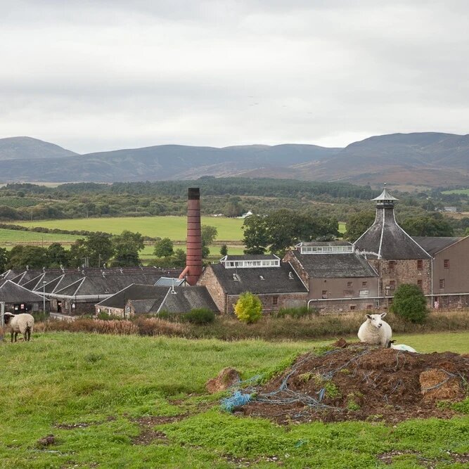 Вид не дистиллерию (незамысловатый шотландский пейзаж🙂)