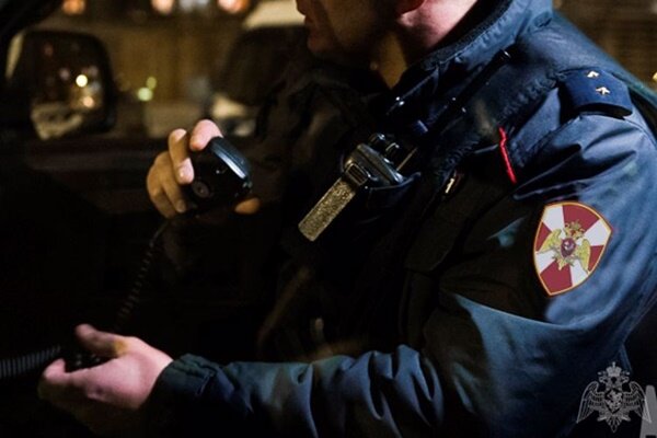 фото для иллюстрации 44.rosguard.gov.ru