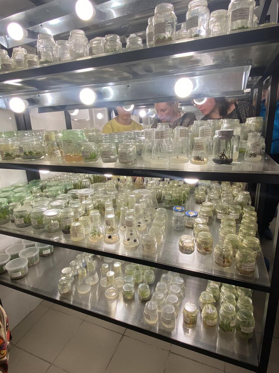 Студенты школы садовников в лаборатории