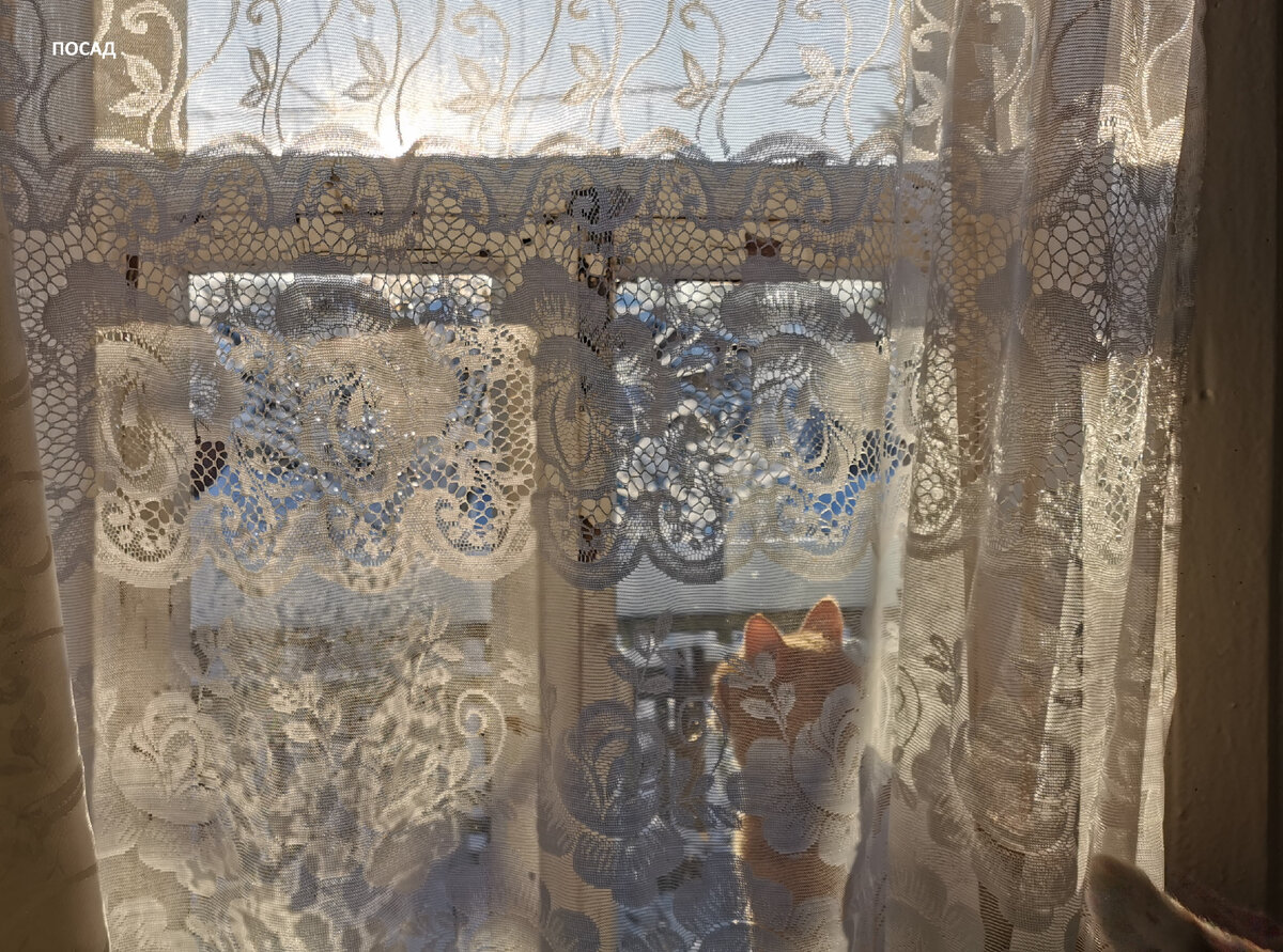 Никакой новый дом не сможет подарить то чувство умиротворения и спокойствия. Но всё это прекрасно, когда тёплый горшок имеется и не надо бельё на реке полоскать.