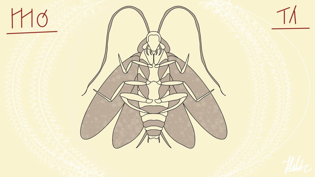 Иллюстрация Дарьи Дыченко